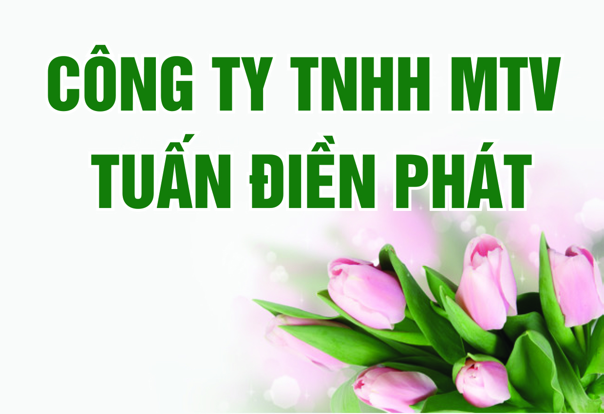 Dự án Khu nhà ở Tuấn Điền Phát 3 từng bước hoàn thiện cơ sở hạ tầng