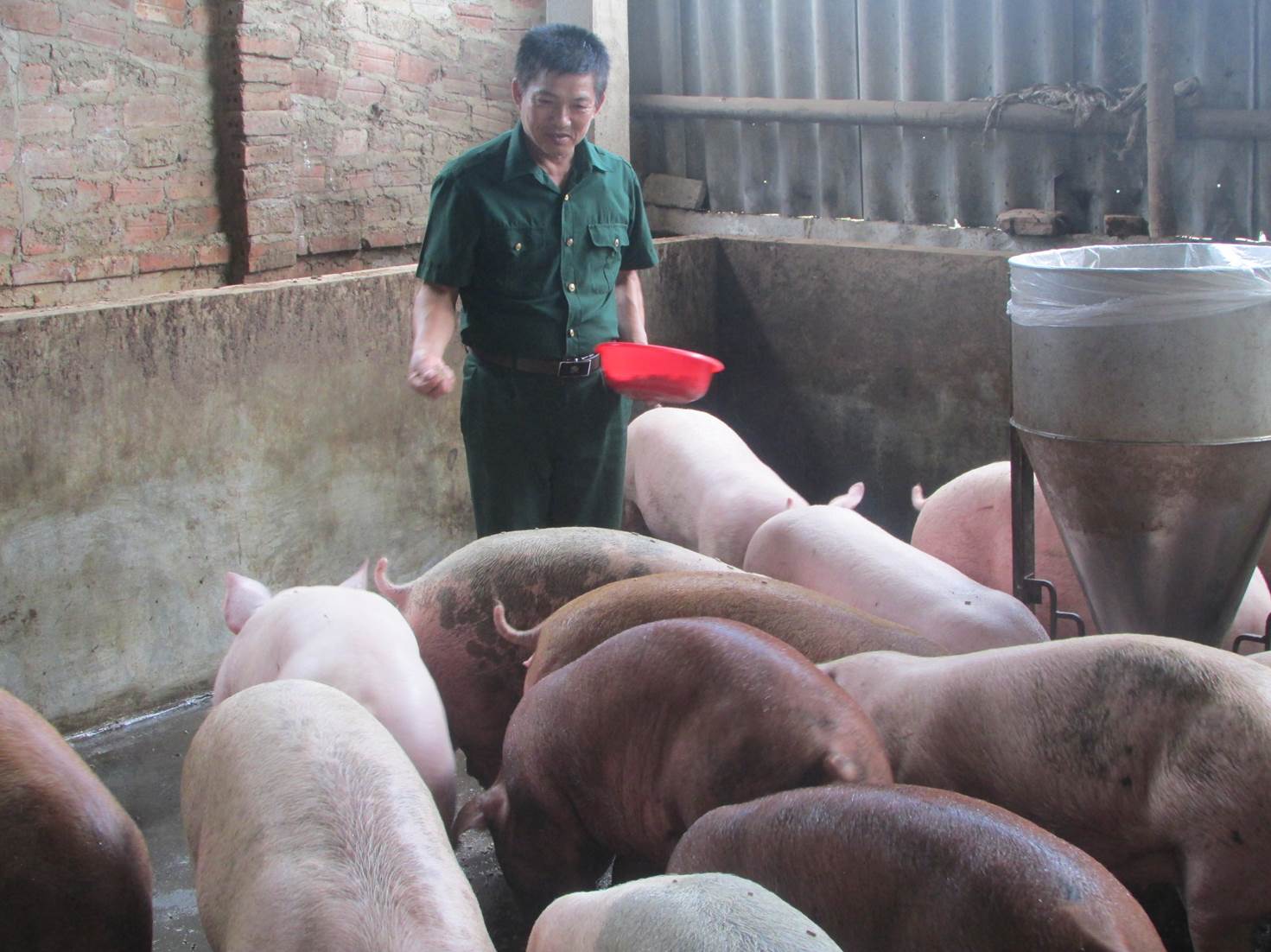 Sát cánh cùng nhau trên mặt trận mới