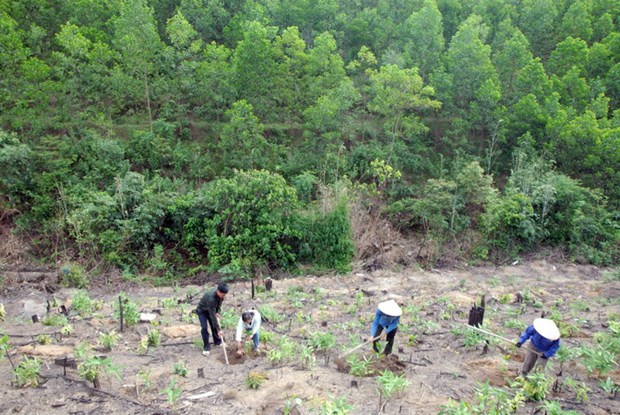Ngăn ngừa nguy cơ đảo ngọc thành đảo rác