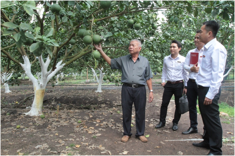 Chủ lực trong đầu tư phát triển “Tam nông”