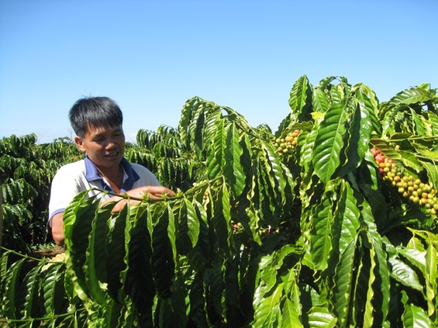 Agribank – Vì tương lai xanh