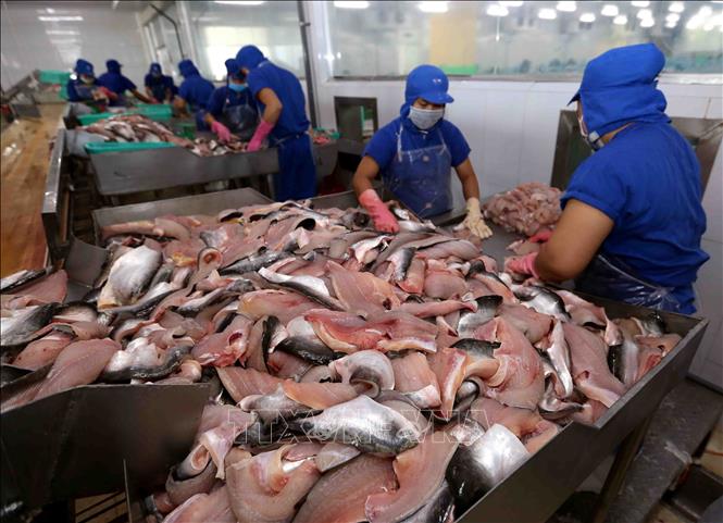 Việt Nam đủ điều kiện xuất khẩu sản phẩm cá và cá da trơn sang Hoa Kỳ