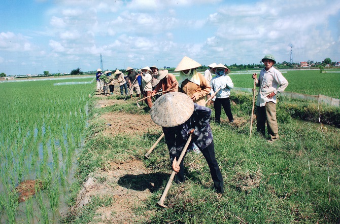 Người bí thư chi bộ tâm huyết với phong trào thi đua ở địa phương