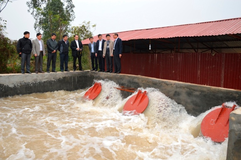Vĩnh Phúc Xây dựng phương án gieo cấy vụ Đông Xuân năm 2019-2020