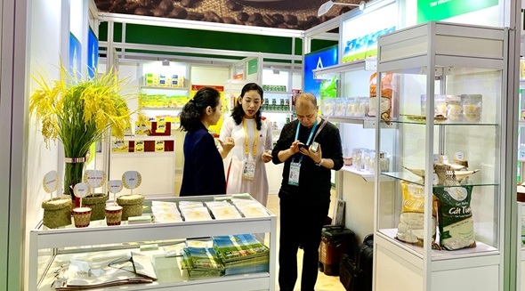Việt Nam tham dự Hội chợ Nhập khẩu quốc tế Trung Quốc lần thứ 2