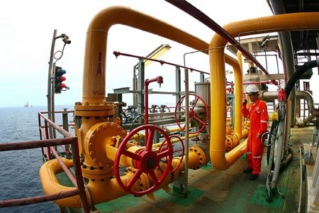 Vietnam s top 500 firms named