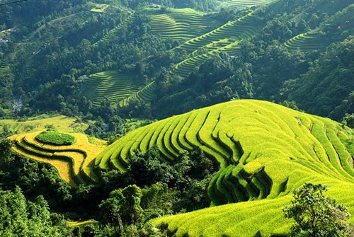 Photo contest on Vietnam tourism launched