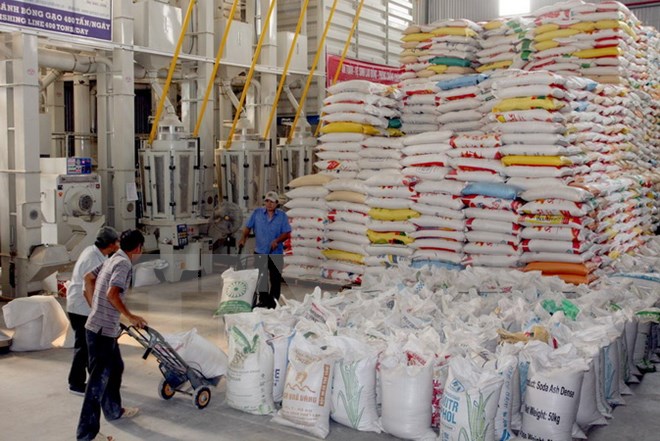 Country ships about 6 55 million tonnes of rice in 2015