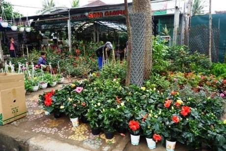Street flower market welcomes Spring