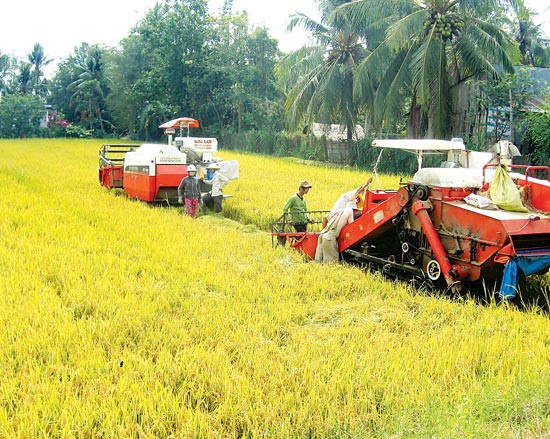 Long An province to focus on developing hi-tech agriculture