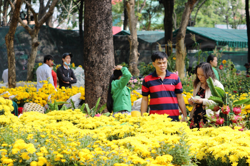 HCM city to have 131 Spring flower markets