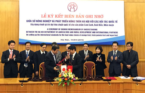 Hanoi to export agricultural products to Japan and Malaysia