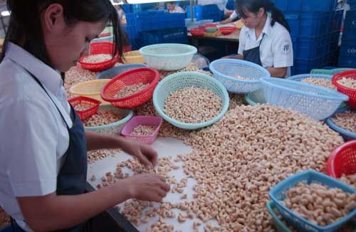 Exports of major agricultural products continue to fall
