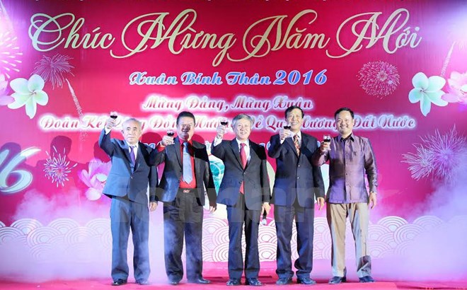 Overseas Vietnamese eagerly welcome Lunar New Year Festival