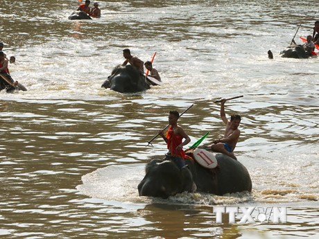 Serepok River Elephant Racing Festival in Dak Lak