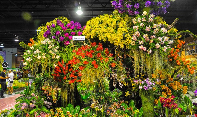 Asia Pacific Orchid Conference underway in Bangkok