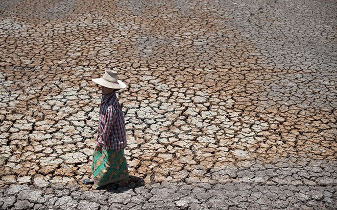 Thailand drought might cut 0 8 ptc of GDP