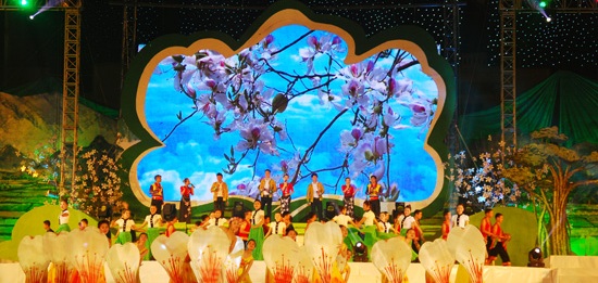 Ban Flower Festival 2016 to open in Dien Bien