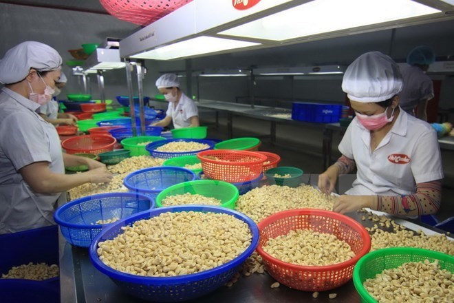 WTO Vietnam records impressive export-import growth