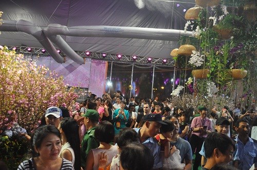 Cherry blossom festival kicks off in HCM City