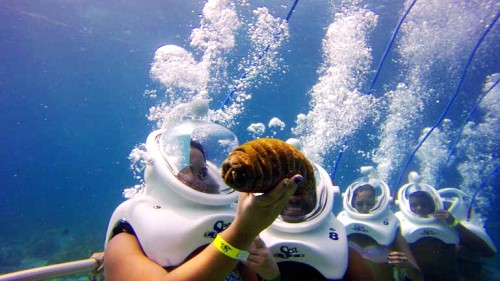 Cu Lao Cham island opens undersea walking tour