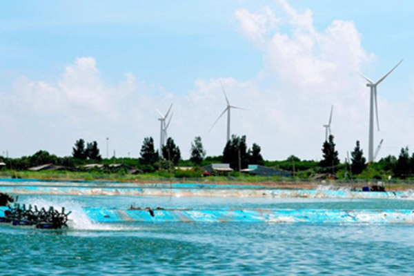 How to effectively develop wind power investment in Vietnam