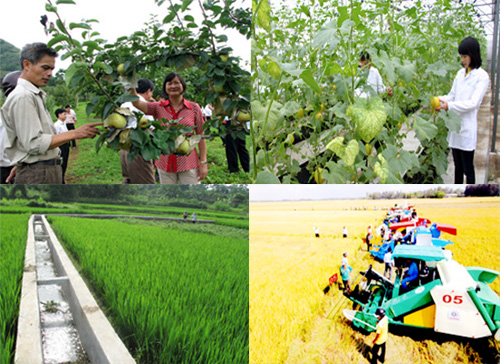 Criteria set for new-style rural areas