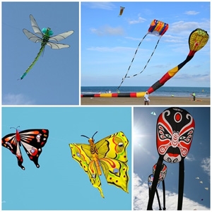 International Kite Festival 2016 to fly in Hung Yen province