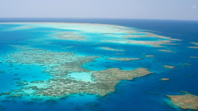 Great Barrier Reef - World’s largest coral system
