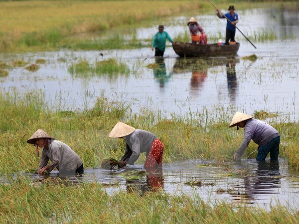 WB funding enhances nation’s transport and flood control