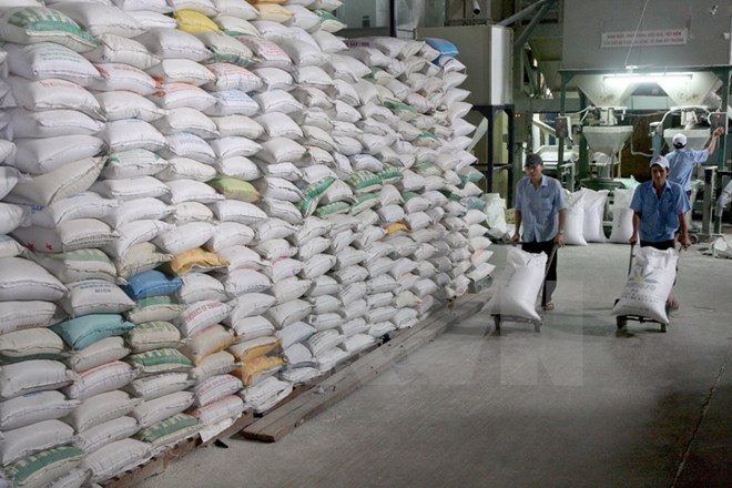 Tightening rice production, export over drought, saltwater intrusion