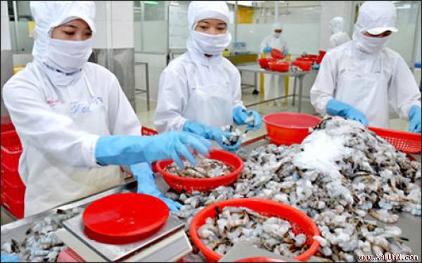 EUR2 5 million to support shrimp value chain