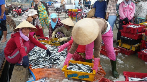 Four lenders appointed for seafood purchase and reserve