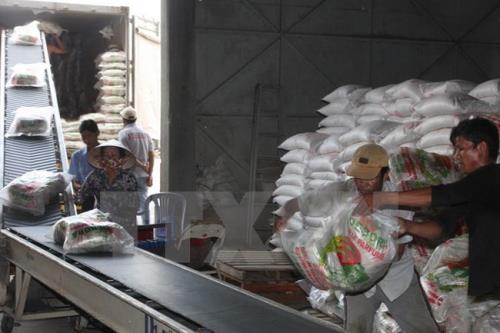 Government urges building strategy for rice export