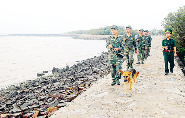 Ho Chi Minh city’s island commune in new face
