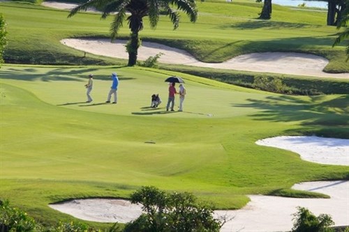 National amateur male golf tourney to kick off