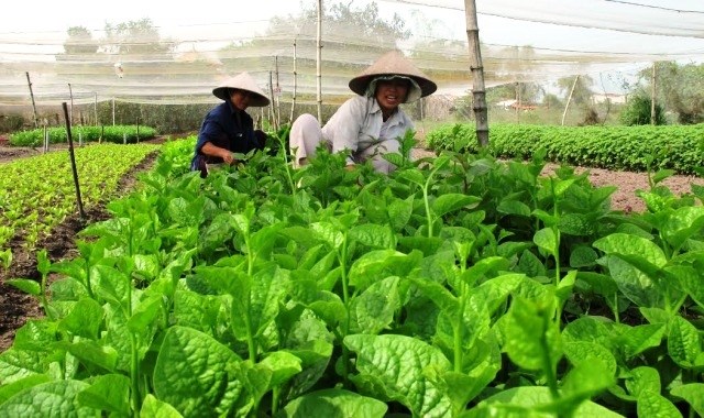 Conference seeks ways to build trademarks for farm produce