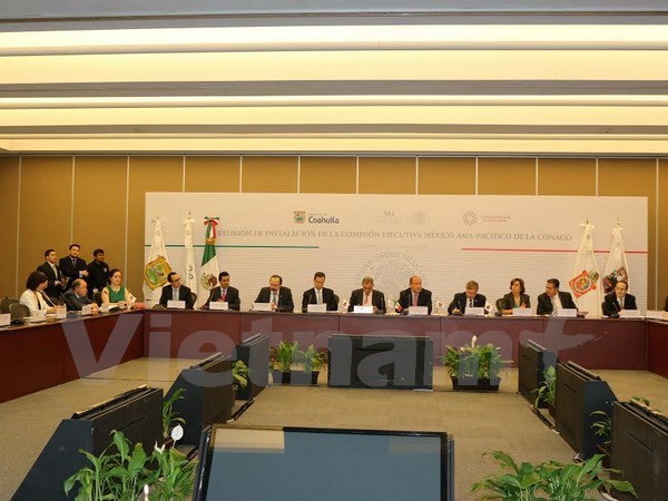 Mexico-Asia Pacific committee set up