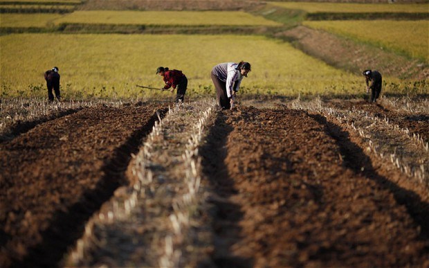 DPRK shifts towards improving people living standards