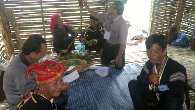 Ethnic cultural festival in central Phu Yen province