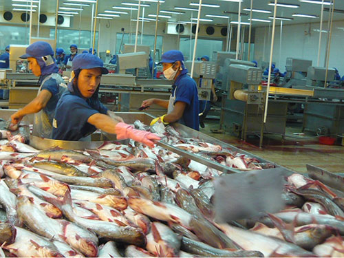 More catfish export companies meet requirements to US