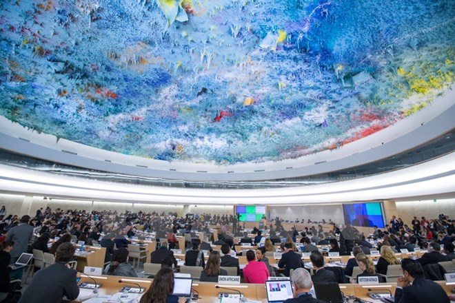 Egypt wins membership in UN Human Rights Council