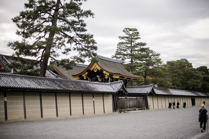 Contemplating Kyoto Imperial Palace