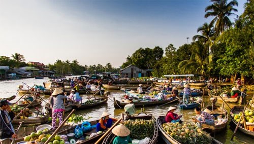 Diverse activities at Cai Rang floating market festival