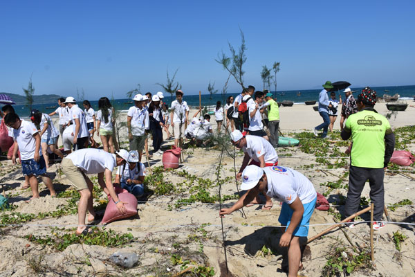 Overseas Vietnamese youth delegation eager to plant trees in Da Nang