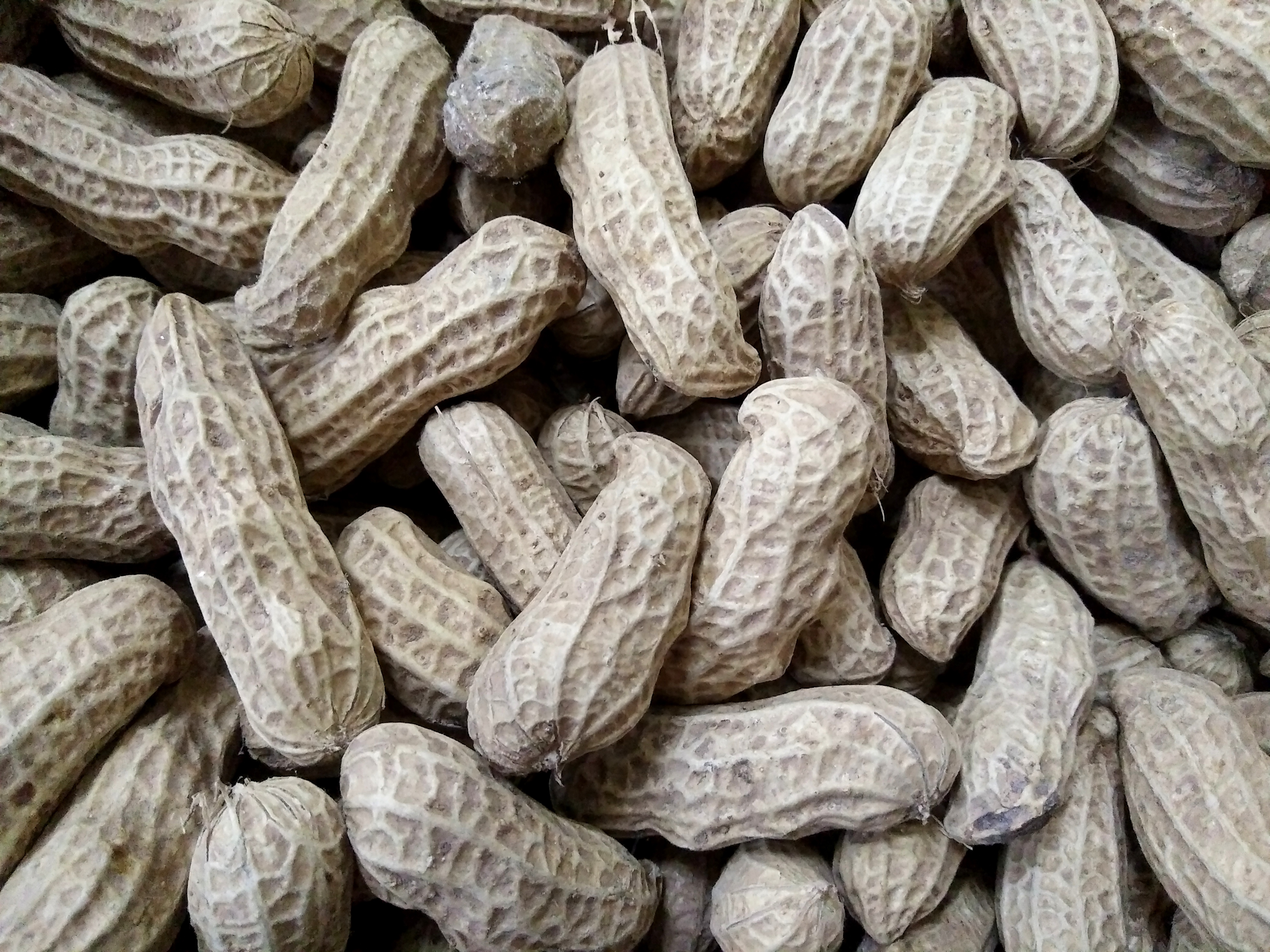 Vietnam freezes peanut import from Senegal