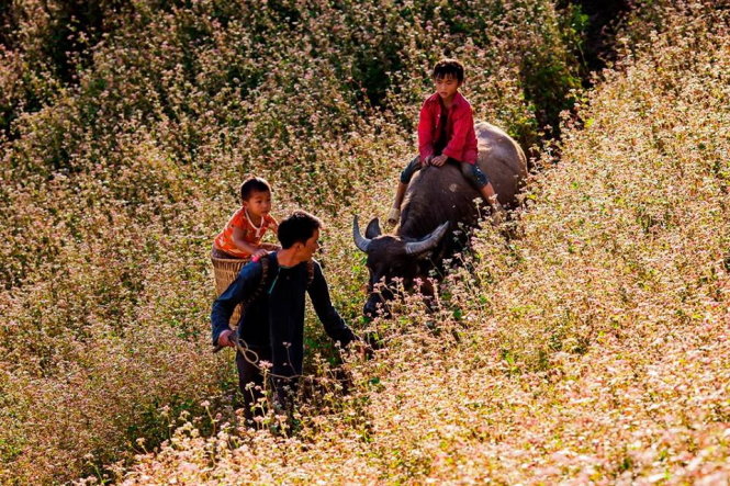 Photos honor responsibility of Vietnamese dads