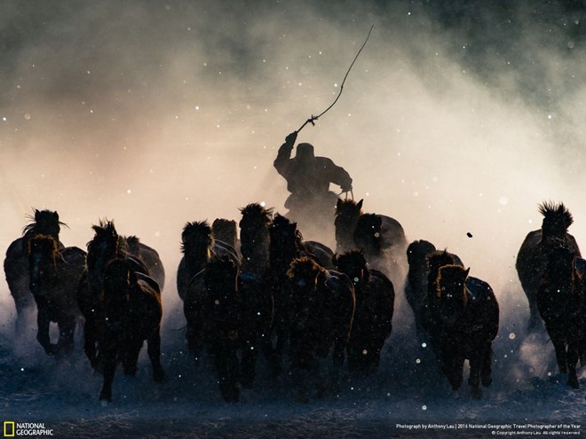 National Geographic Travel Photographer of the Year winners announced