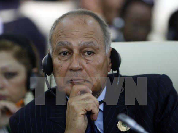Ahmed Aboul-Gheit elected as Secretary-General of AL