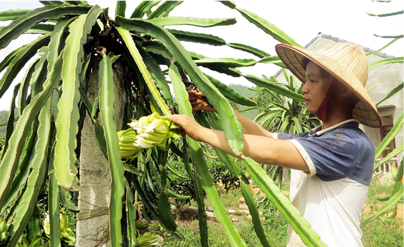 Phu Tho province’s commune builds new style rural areas